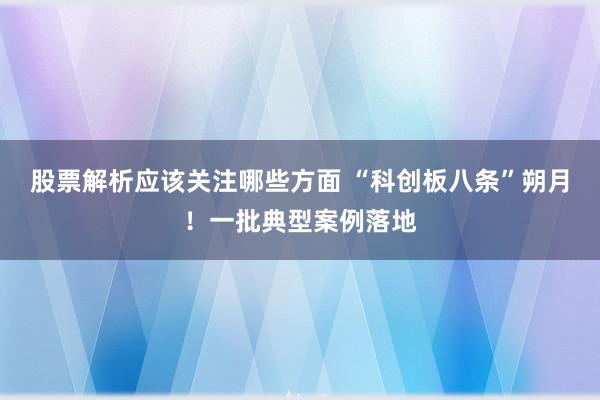 股票解析应该关注哪些方面 “科创板八条”朔月！一批典型案例落地