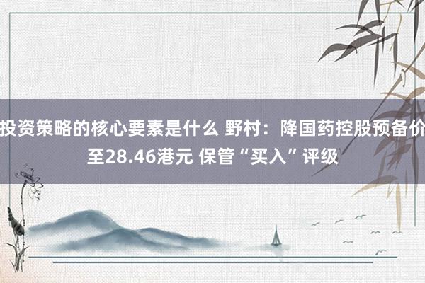 投资策略的核心要素是什么 野村：降国药控股预备价至28.46港元 保管“买入”评级