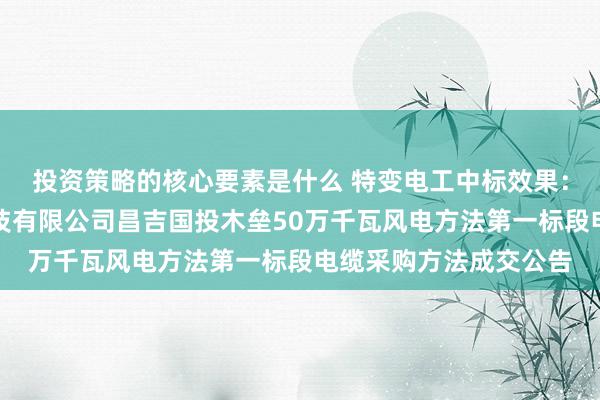 投资策略的核心要素是什么 特变电工中标效果：新疆绿电交通产业科技有限公司昌吉国投木垒50万千瓦风电方法第一标段电缆采购方法成交公告