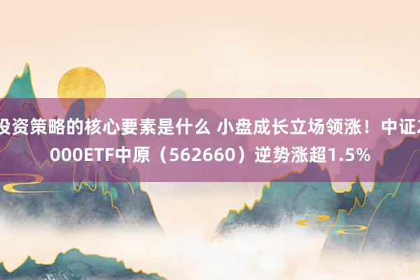 投资策略的核心要素是什么 小盘成长立场领涨！中证2000ETF中原（562660）逆势涨超1.5%