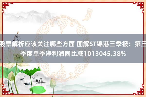 股票解析应该关注哪些方面 图解ST锦港三季报：第三季度单季净利润同比减1013045.38%