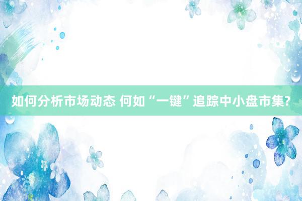 如何分析市场动态 何如“一键”追踪中小盘市集?