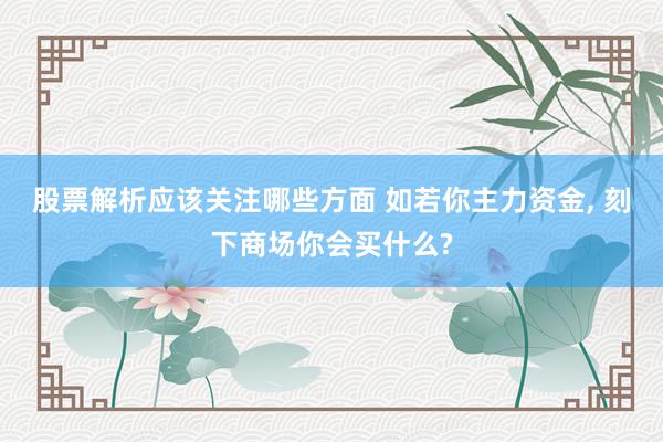 股票解析应该关注哪些方面 如若你主力资金, 刻下商场你会买什么?