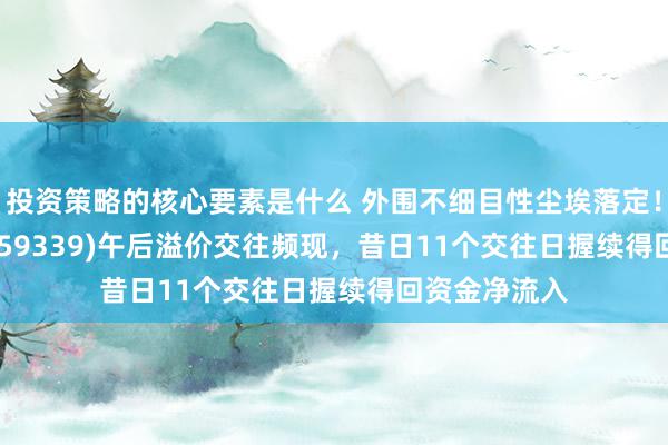 投资策略的核心要素是什么 外围不细目性尘埃落定！A500ETF(159339)午后溢价交往频现，昔日11个交往日握续得回资金净流入