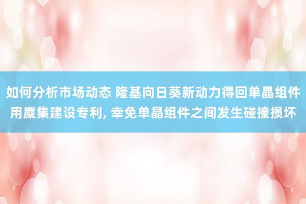 如何分析市场动态 隆基向日葵新动力得回单晶组件用麇集建设专利, 幸免单晶组件之间发生碰撞损坏