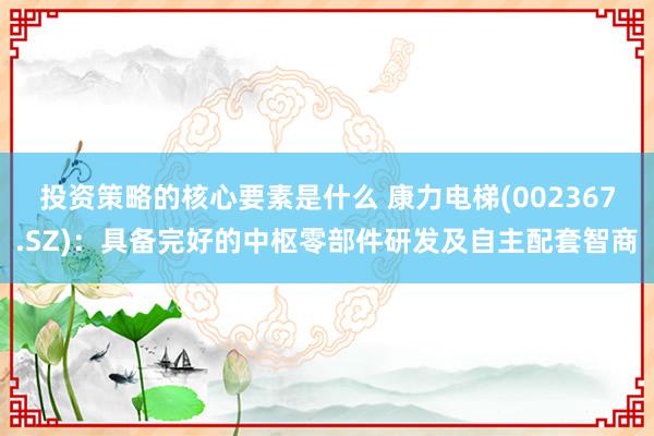 投资策略的核心要素是什么 康力电梯(002367.SZ)：具备完好的中枢零部件研发及自主配套智商