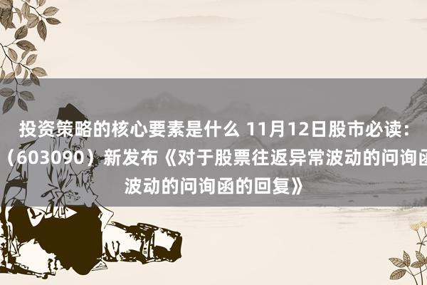 投资策略的核心要素是什么 11月12日股市必读：宏盛股份（603090）新发布《对于股票往返异常波动的问询函的回复》