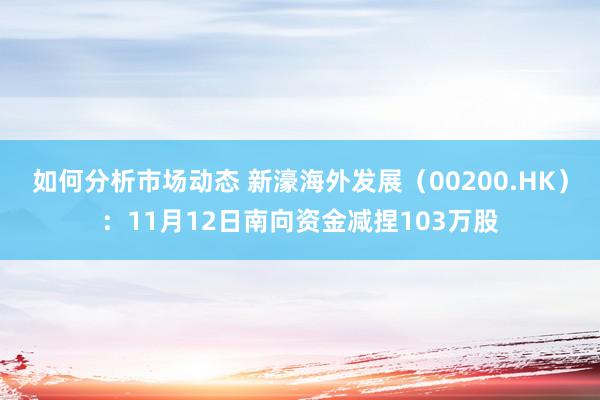 如何分析市场动态 新濠海外发展（00200.HK）：11月12日南向资金减捏103万股