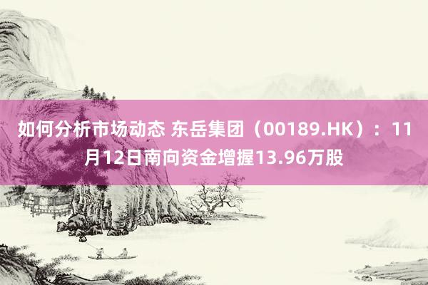 如何分析市场动态 东岳集团（00189.HK）：11月12日南向资金增握13.96万股