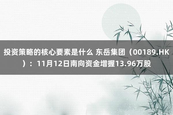 投资策略的核心要素是什么 东岳集团（00189.HK）：11月12日南向资金增握13.96万股