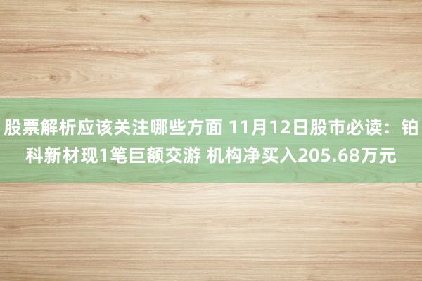 股票解析应该关注哪些方面 11月12日股市必读：铂科新材现1笔巨额交游 机构净买入205.68万元