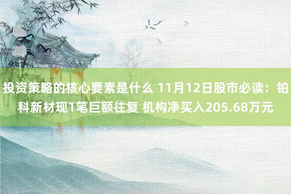 投资策略的核心要素是什么 11月12日股市必读：铂科新材现1笔巨额往复 机构净买入205.68万元