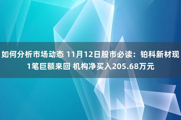 如何分析市场动态 11月12日股市必读：铂科新材现1笔巨额来回 机构净买入205.68万元