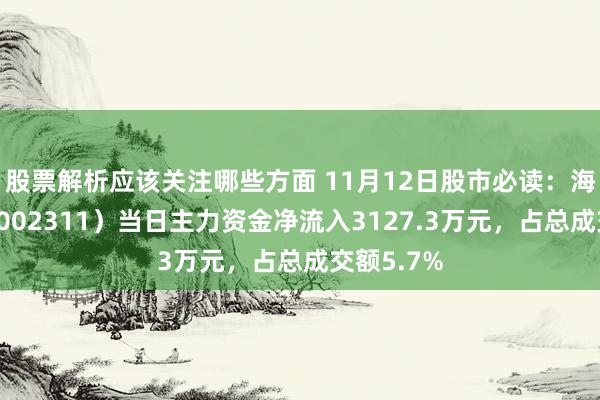 股票解析应该关注哪些方面 11月12日股市必读：海大集团（002311）当日主力资金净流入3127.3万元，占总成交额5.7%