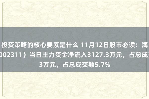 投资策略的核心要素是什么 11月12日股市必读：海大集团（002311）当日主力资金净流入3127.3万元，占总成交额5.7%