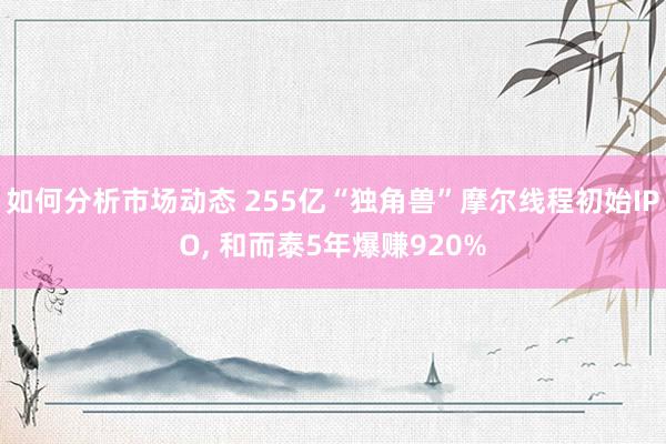 如何分析市场动态 255亿“独角兽”摩尔线程初始IPO, 和而泰5年爆赚920%