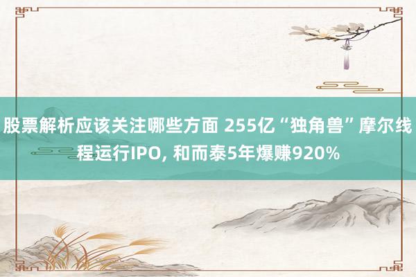 股票解析应该关注哪些方面 255亿“独角兽”摩尔线程运行IPO, 和而泰5年爆赚920%