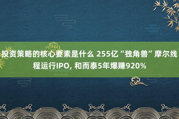 投资策略的核心要素是什么 255亿“独角兽”摩尔线程运行IPO, 和而泰5年爆赚920%