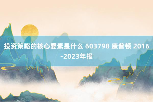 投资策略的核心要素是什么 603798 康普顿 2016-2023年报