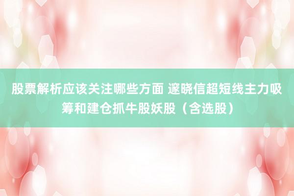 股票解析应该关注哪些方面 邃晓信超短线主力吸筹和建仓抓牛股妖股（含选股）