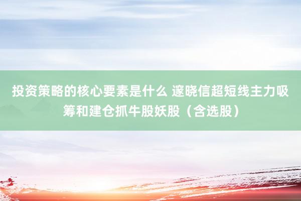 投资策略的核心要素是什么 邃晓信超短线主力吸筹和建仓抓牛股妖股（含选股）