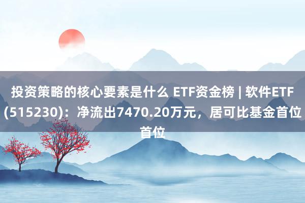 投资策略的核心要素是什么 ETF资金榜 | 软件ETF(515230)：净流出7470.20万元，居可比基金首位