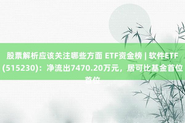 股票解析应该关注哪些方面 ETF资金榜 | 软件ETF(515230)：净流出7470.20万元，居可比基金首位