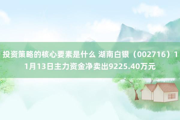 投资策略的核心要素是什么 湖南白银（002716）11月13日主力资金净卖出9225.40万元