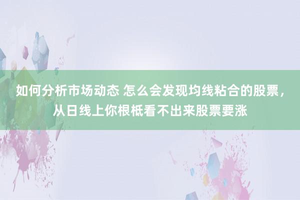 如何分析市场动态 怎么会发现均线粘合的股票，从日线上你根柢看不出来股票要涨