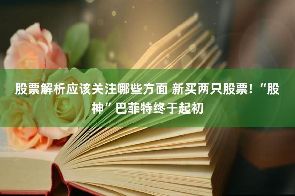 股票解析应该关注哪些方面 新买两只股票! “股神”巴菲特终于起初