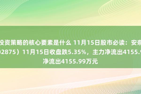 投资策略的核心要素是什么 11月15日股市必读：安奈儿（002875）11月15日收盘跌5.35%，主力净流出4155.99万元