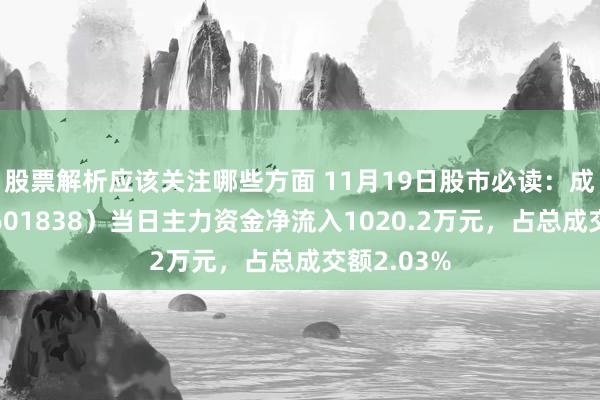 股票解析应该关注哪些方面 11月19日股市必读：成都银行（601838）当日主力资金净流入1020.2万元，占总成交额2.03%