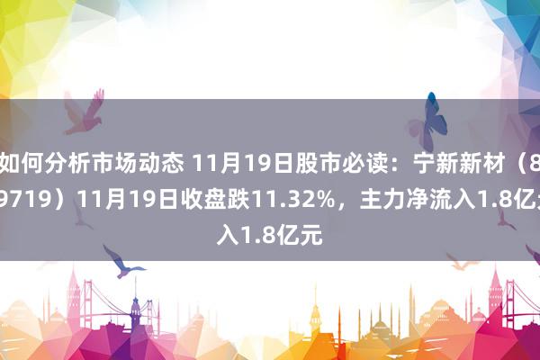 如何分析市场动态 11月19日股市必读：宁新新材（839719）11月19日收盘跌11.32%，主力净流入1.8亿元