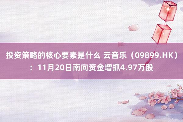 投资策略的核心要素是什么 云音乐（09899.HK）：11月20日南向资金增抓4.97万股