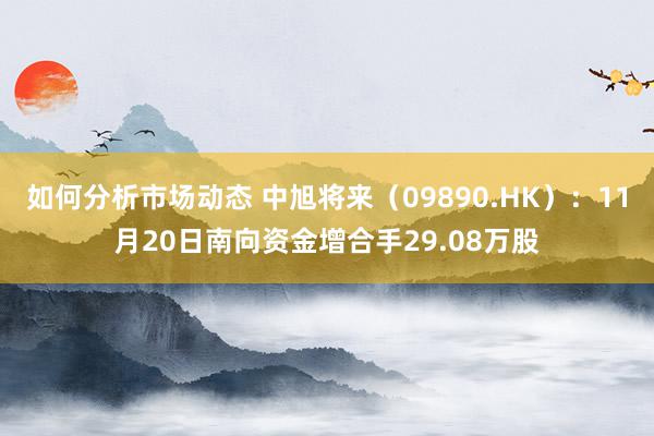 如何分析市场动态 中旭将来（09890.HK）：11月20日南向资金增合手29.08万股