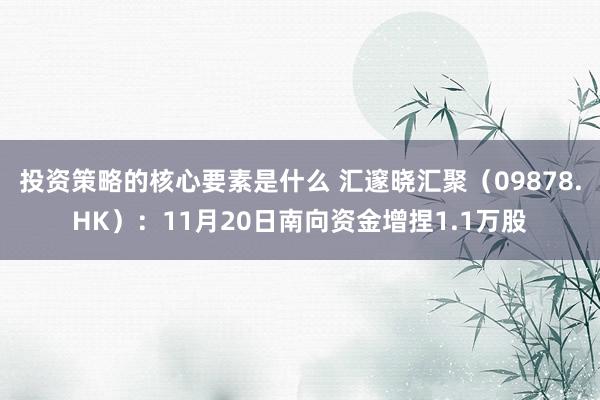 投资策略的核心要素是什么 汇邃晓汇聚（09878.HK）：11月20日南向资金增捏1.1万股