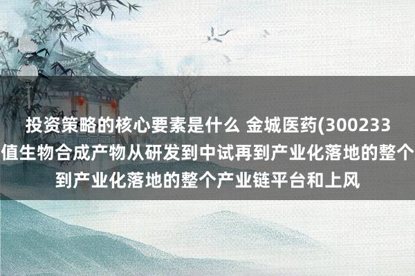 投资策略的核心要素是什么 金城医药(300233.SZ)：具备高附加值生物合成产物从研发到中试再到产业化落地的整个产业链平台和上风