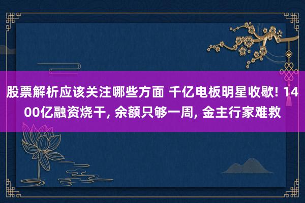 股票解析应该关注哪些方面 千亿电板明星收歇! 1400亿融资烧干, 余额只够一周, 金主行家难救