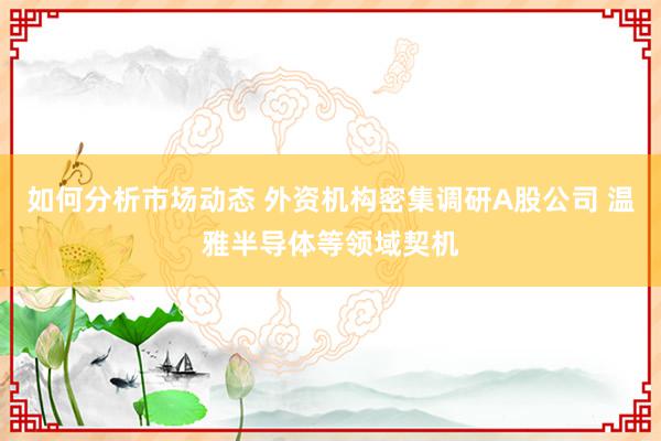 如何分析市场动态 外资机构密集调研A股公司 温雅半导体等领域契机