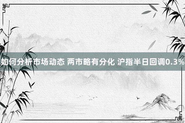 如何分析市场动态 两市略有分化 沪指半日回调0.3%