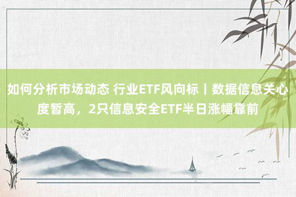 如何分析市场动态 行业ETF风向标丨数据信息关心度暂高，2只信息安全ETF半日涨幅靠前