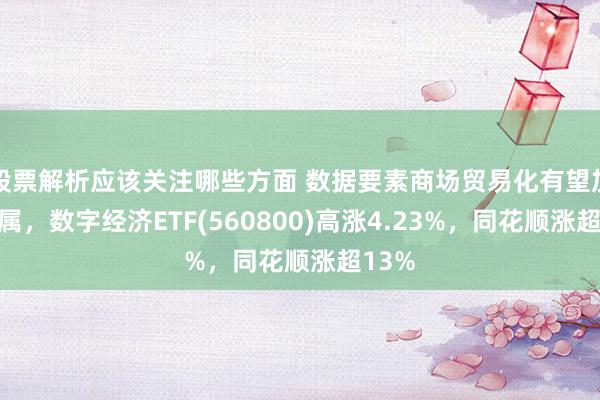 股票解析应该关注哪些方面 数据要素商场贸易化有望加速纯属，数字经济ETF(560800)高涨4.23%，同花顺涨超13%