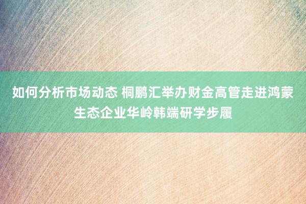 如何分析市场动态 桐鹏汇举办财金高管走进鸿蒙生态企业华岭韩端研学步履