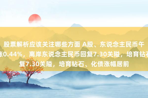 股票解析应该关注哪些方面 A股、东说念主民币午后反弹，沪指收涨0.44%，离岸东说念主民币回复7.30关隘，培育钻石、化债涨幅居前