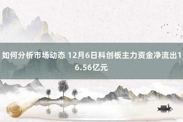 如何分析市场动态 12月6日科创板主力资金净流出16.56亿元