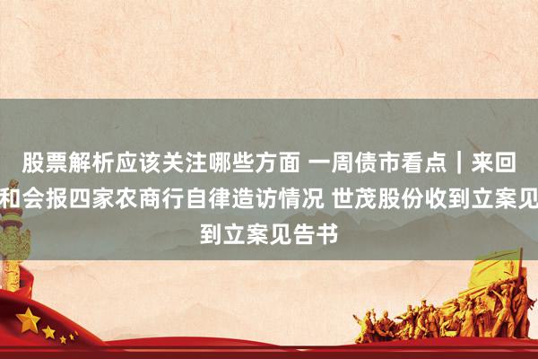 股票解析应该关注哪些方面 一周债市看点｜来回商协和会报四家农商行自律造访情况 世茂股份收到立案见告书