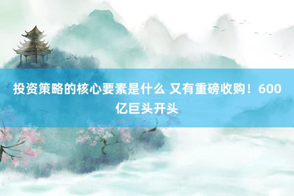 投资策略的核心要素是什么 又有重磅收购！600亿巨头开头