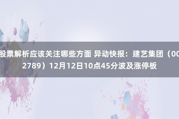 股票解析应该关注哪些方面 异动快报：建艺集团（002789）12月12日10点45分波及涨停板