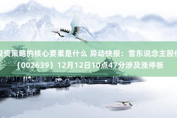 投资策略的核心要素是什么 异动快报：雪东说念主股份（002639）12月12日10点47分涉及涨停板