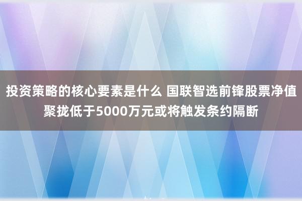 投资策略的核心要素是什么 国联智选前锋股票净值聚拢低于5000万元或将触发条约隔断